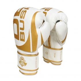 Premium Adult Boxing Gloves (Oriblancos) 10-14oz / DBX Bushido