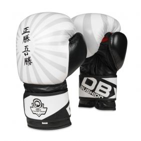 Premium Adult Boxing Gloves (Black and White) 10-14oz / DBX Bushido