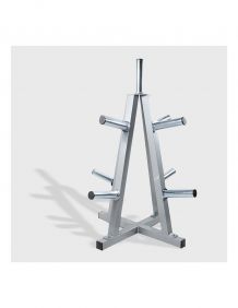 Olympic Pyramidal Disc Support (large)